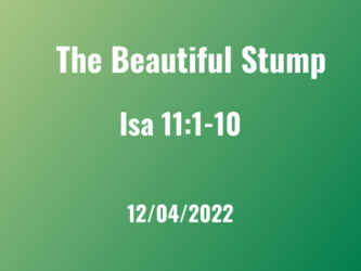 The Beautiful Stump / Rev Patrick Dominguez /Isa 11:1-10